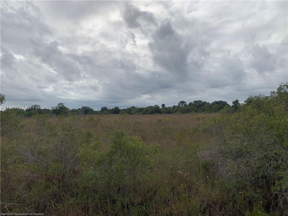 На продажу: $23,900 (1.25 acres)