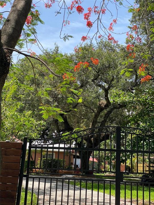 待售: $1,499,999 (5 贝兹, 4 浴室, 2194 平方英尺)