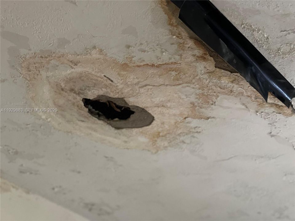 En Venta: $475,000 (2 camas, 1 baños, 1444 Pies cuadrados)