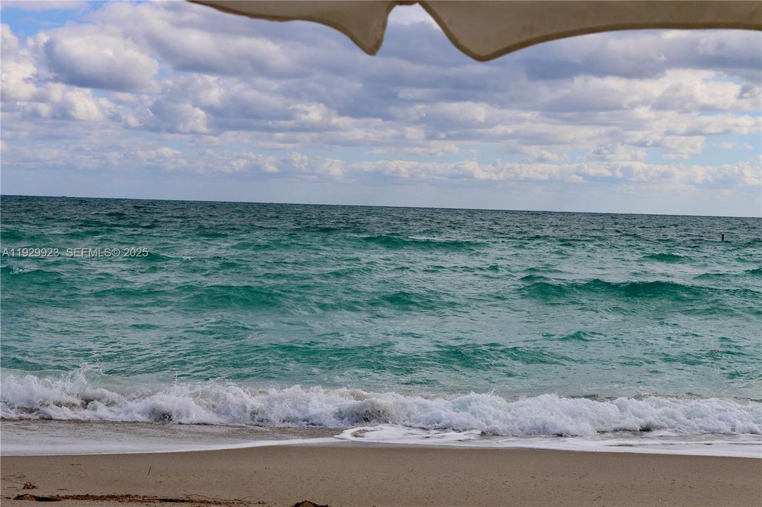 Balmoral Beach services include towels, beds, chairs & table.