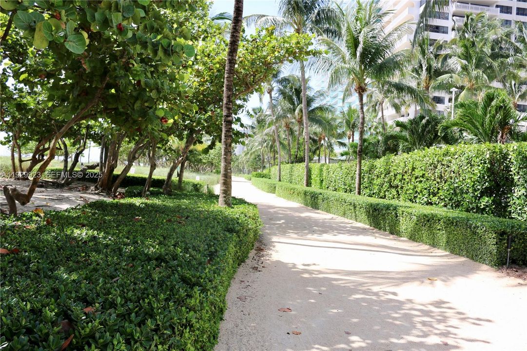 Bal Harbour beach walking or running pad