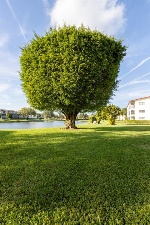 For Rent: $1,750 (2 beds, 1 baths, 840 Square Feet)