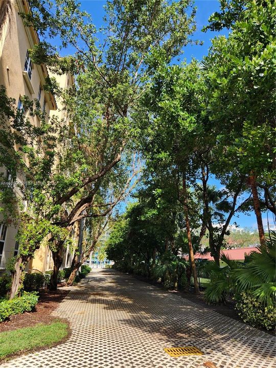 出租: $2,200 (1 贝兹, 1 浴室, 836 平方英尺)