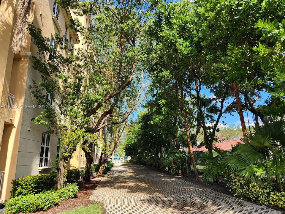 出租: $2,200 (1 贝兹, 1 浴室, 836 平方英尺)