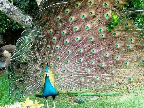 En Venta: $4,500,000 (2 camas, 2 baños, 1912 Pies cuadrados)