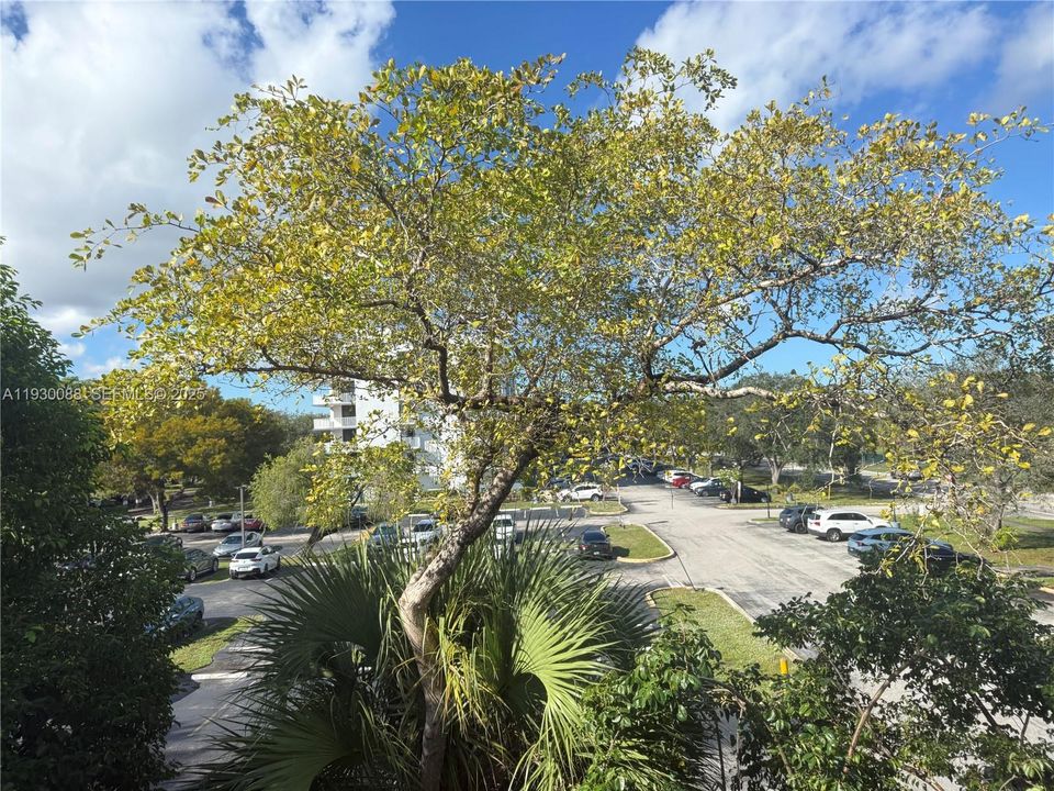 For Sale: $130,000 (1 beds, 1 baths, 640 Square Feet)