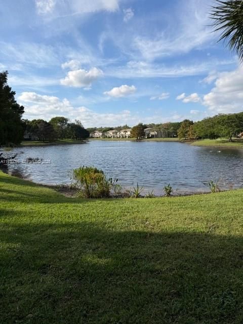 出租: $2,100 (2 贝兹, 2 浴室, 1104 平方英尺)