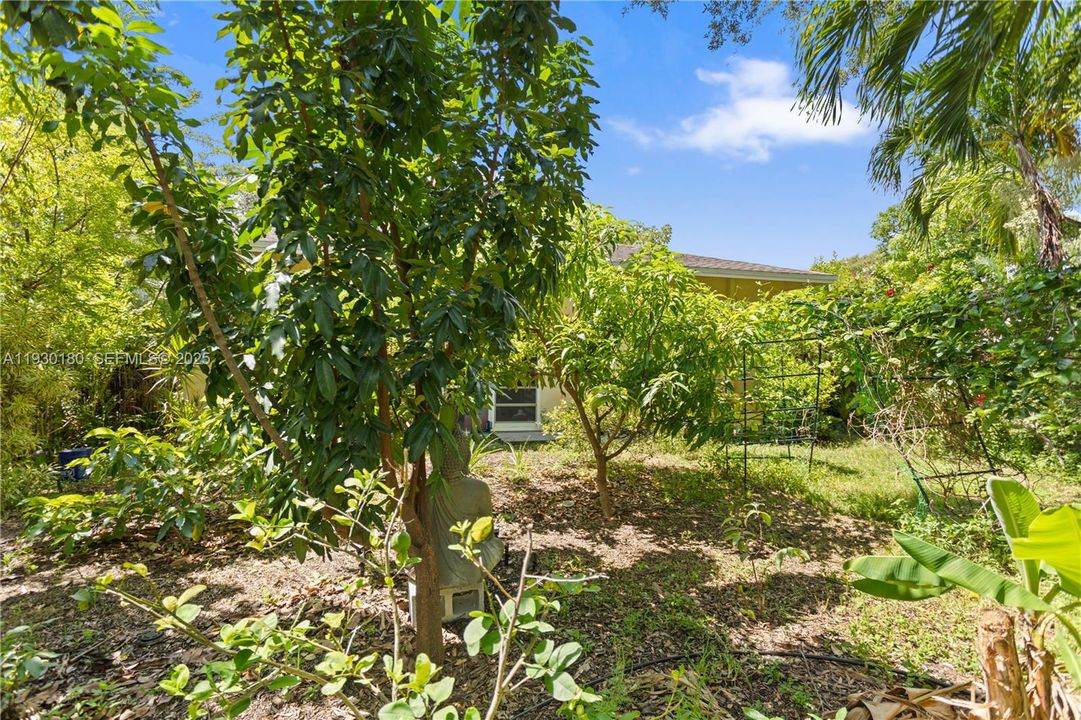 For Sale: $615,000 (3 beds, 2 baths, 1764 Square Feet)