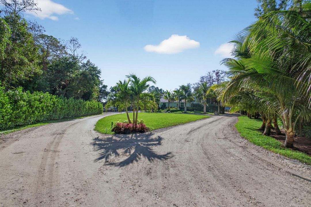 25-web-or-mls-320A2257