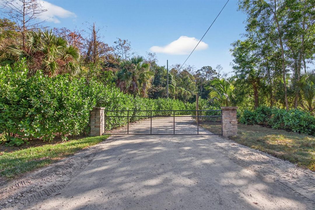 23-web-or-mls-320A2248