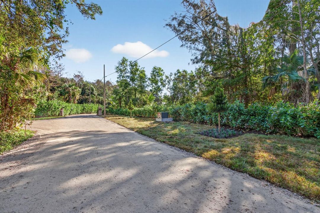 22-web-or-mls-320A2234