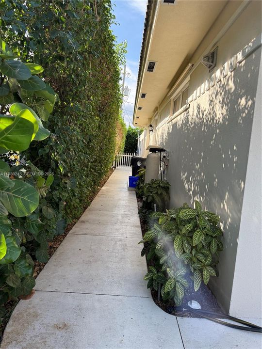 PRIVATE PATHWAY TO PATIO & CABANA