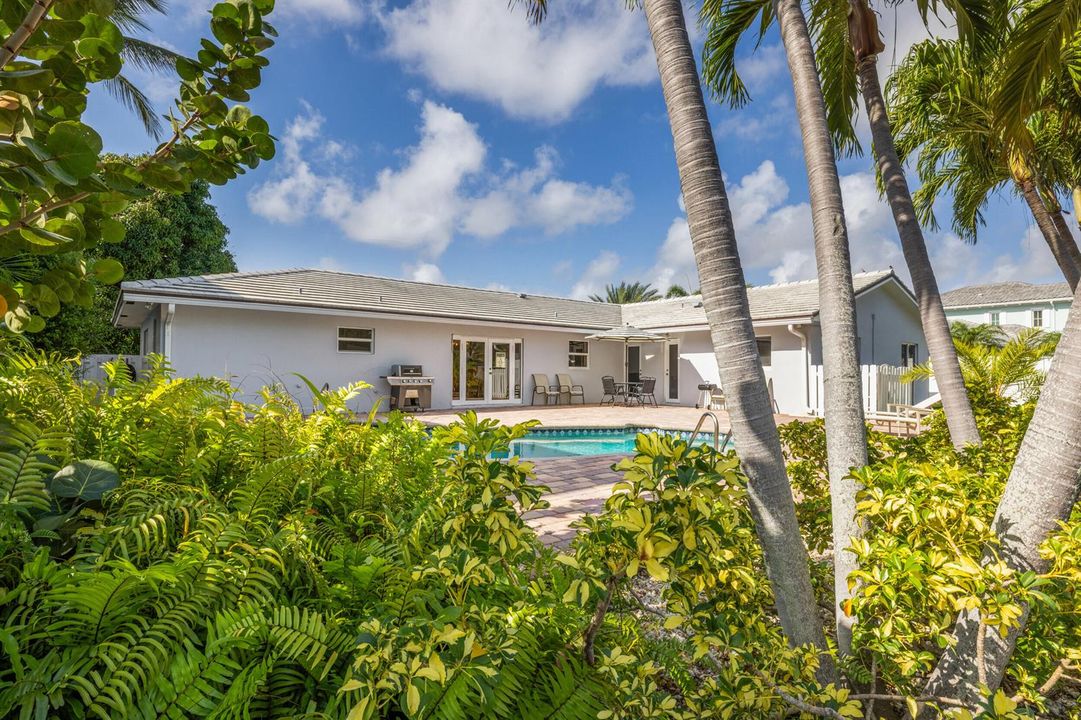 Tropical Backyard