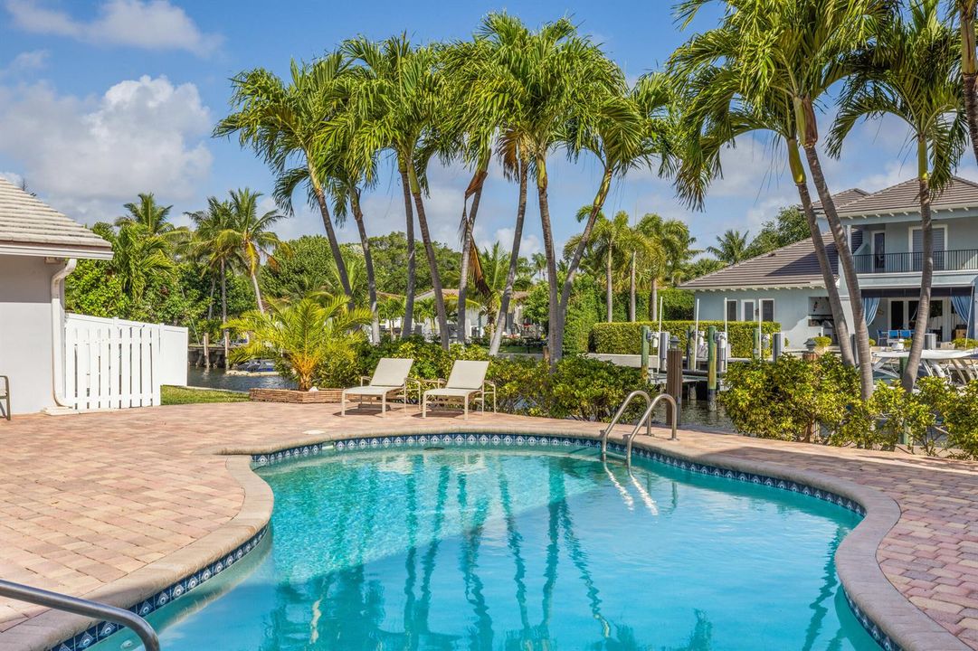 Tropical Oasis