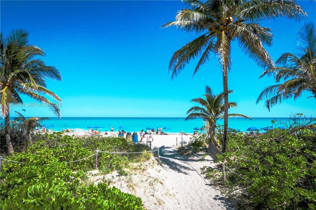 出租: $3,300 (1 贝兹, 1 浴室, 870 平方英尺)