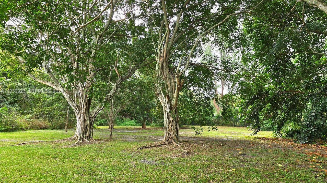 For Rent: $2,000 (2 beds, 2 baths, 1026 Square Feet)