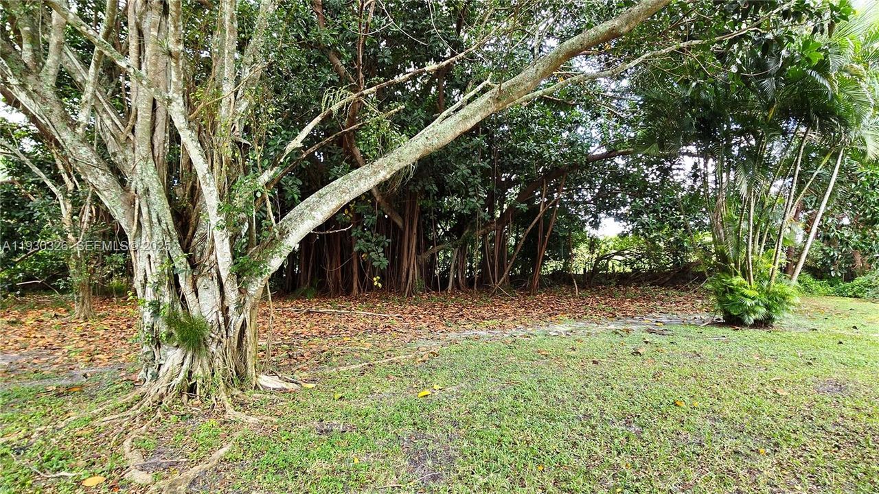 For Rent: $2,000 (2 beds, 2 baths, 1026 Square Feet)