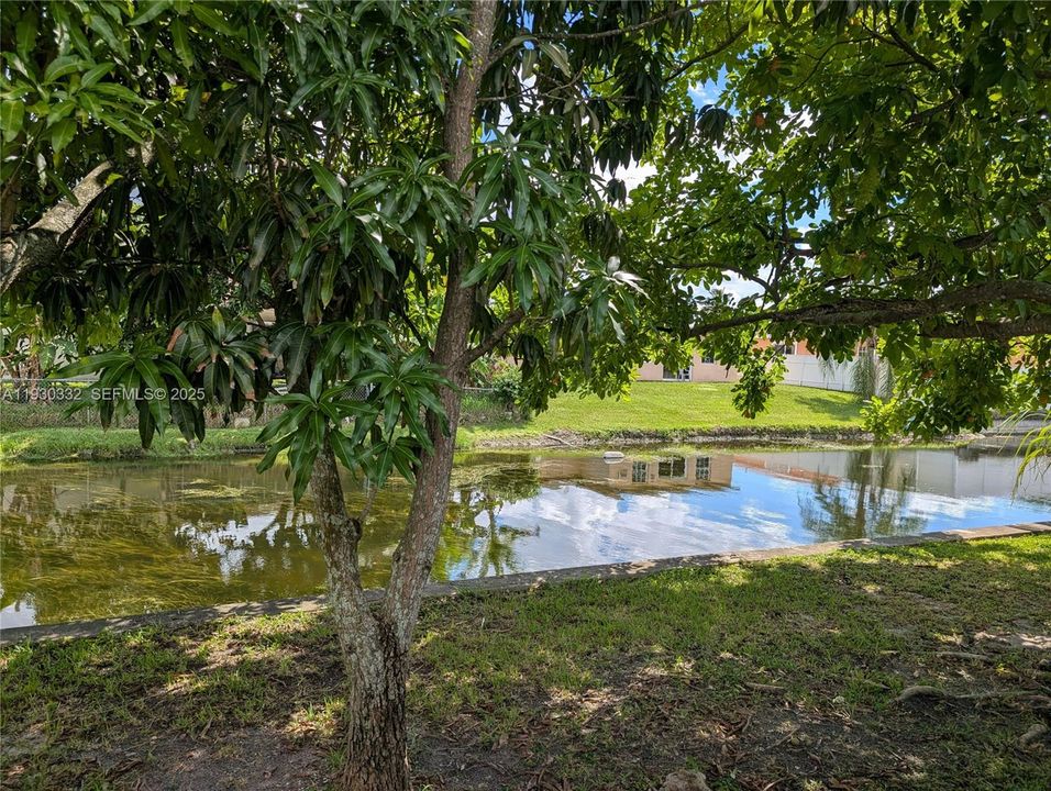 En Renta: $2,700 (2 camas, 2 baños, 0 Pies cuadrados)