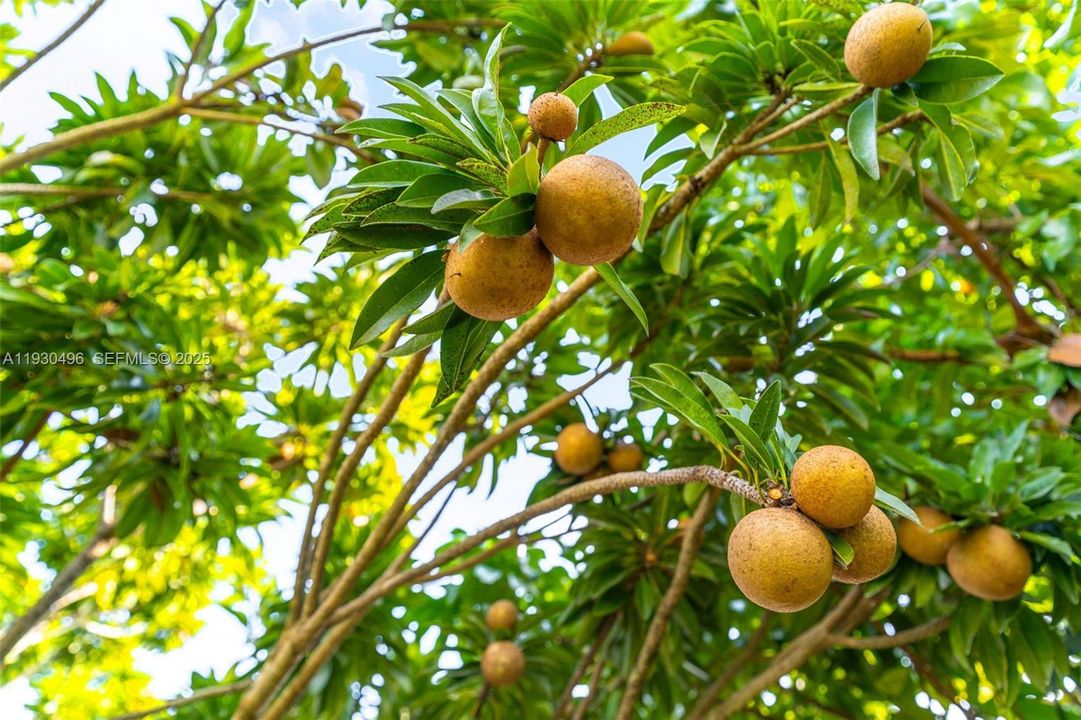 For Sale: $1,180,000 (0 beds, 0 baths, 0 Square Feet)