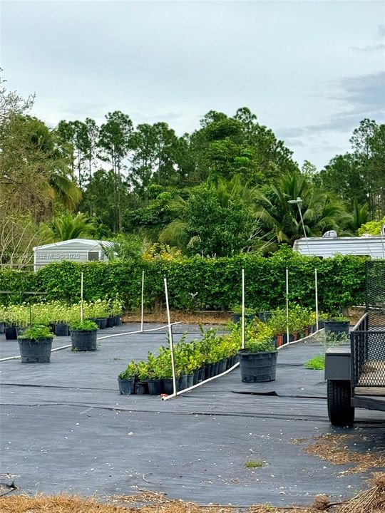 На продажу: $790,000 (5 спален, 3 ванн, 1606 Квадратных фут)