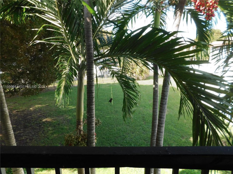 garden view from balcony