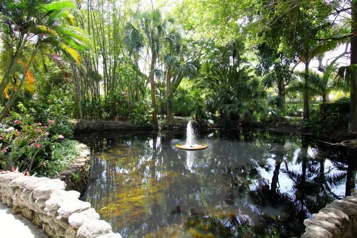 MEDITATION POND