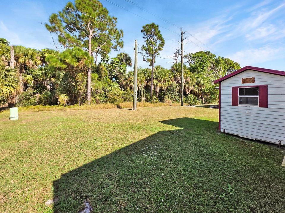 Backyard