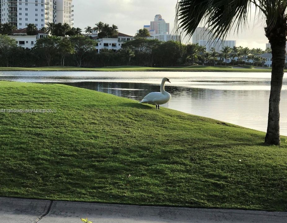 出租: $3,800 (2 贝兹, 2 浴室, 1257 平方英尺)