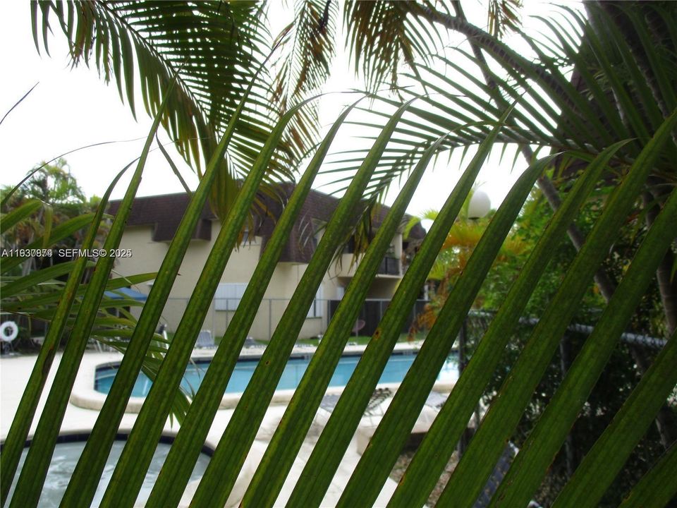 出租: $2,250 (2 贝兹, 2 浴室, 976 平方英尺)