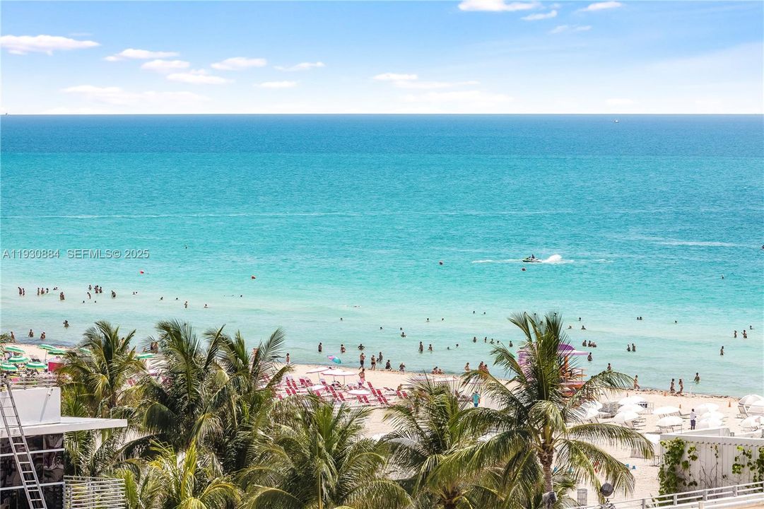 出租: $9,500 (3 贝兹, 2 浴室, 1455 平方英尺)