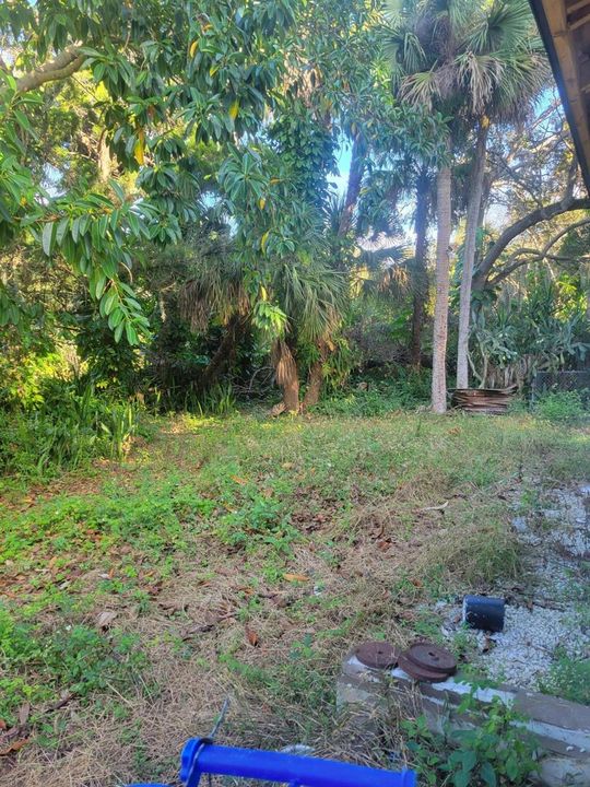 Left rear yard