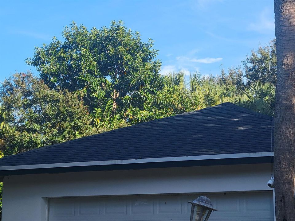 New roof