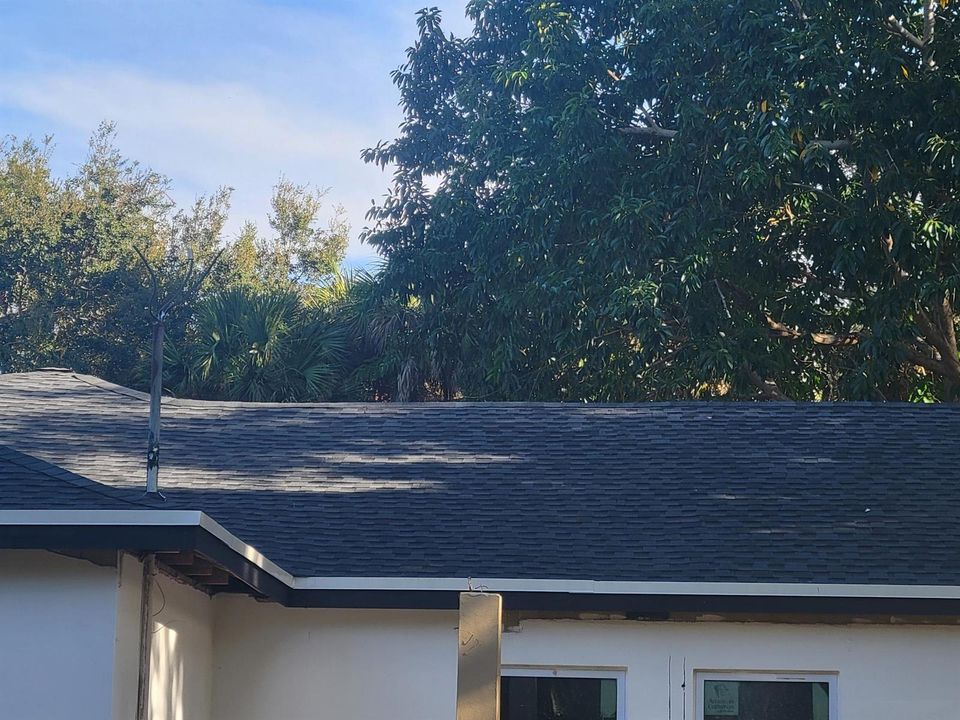 New roof and Trusses