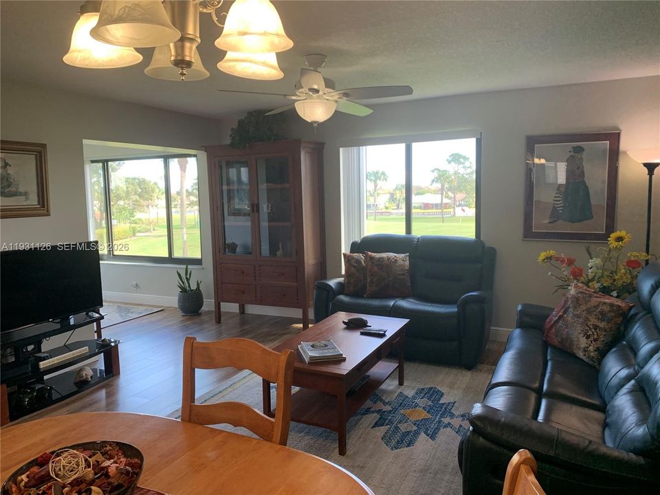 Large Windows Full of Light