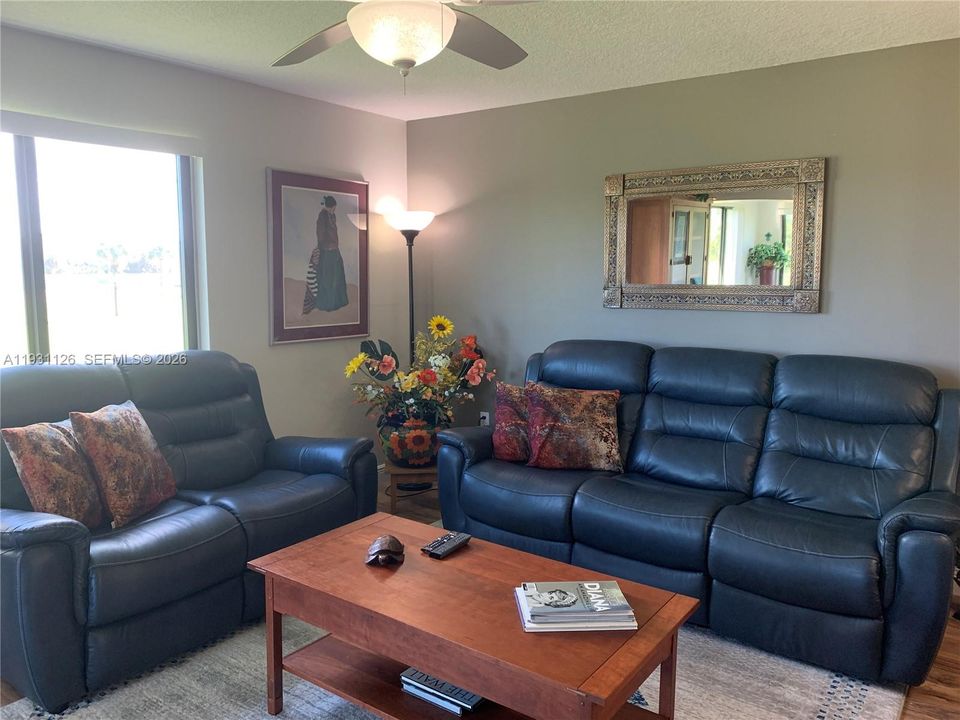 Lots of Bright Light from the Outdoors