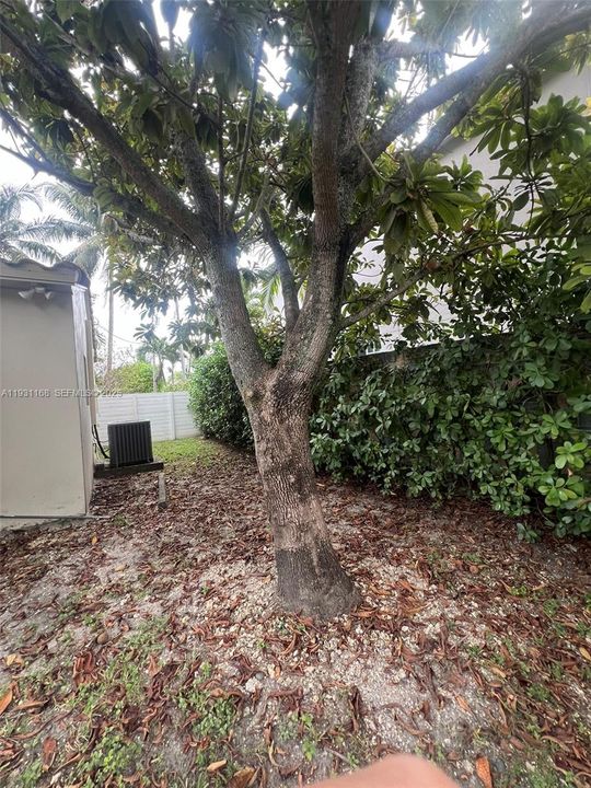 En Renta: $3,400 (3 camas, 2 baños, 1481 Pies cuadrados)