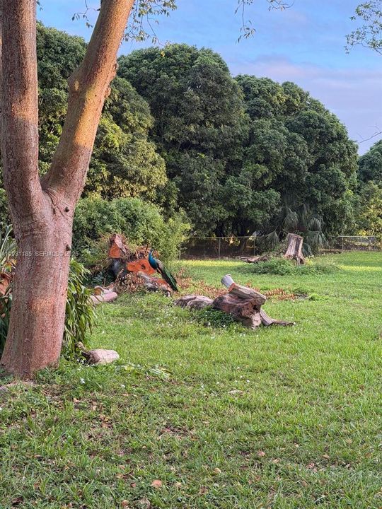 На продажу: $1,280,000 (1 спален, 1 ванн, 1020 Квадратных фут)