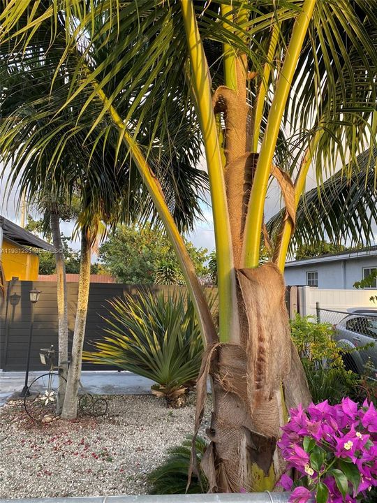 На продажу: $490,000 (2 спален, 1 ванн, 983 Квадратных фут)