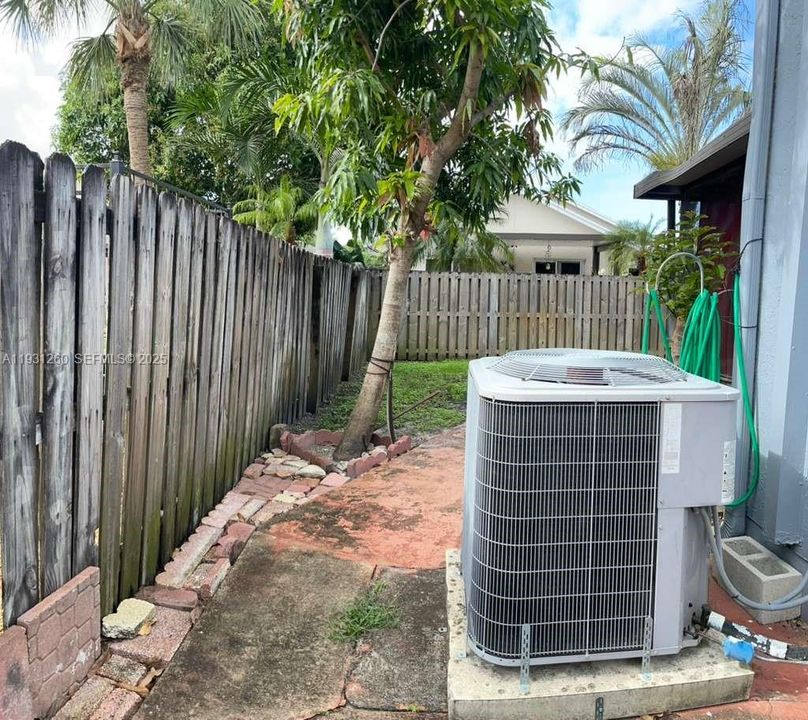 Left side of the backyard