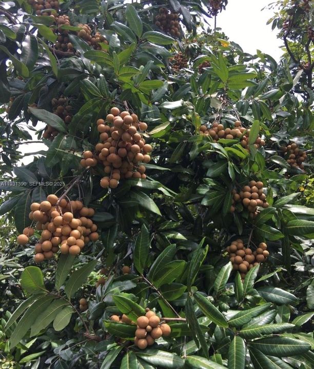 На продажу: $797,850 (2 спален, 1 ванн, 0 Квадратных фут)