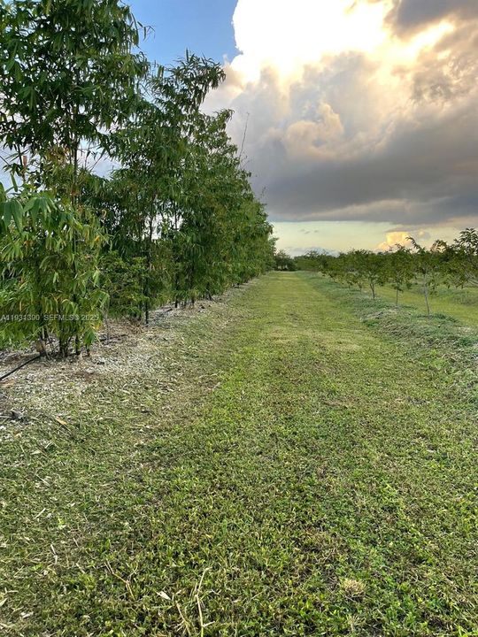 На продажу: $797,850 (2 спален, 1 ванн, 0 Квадратных фут)