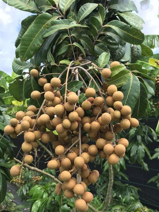 На продажу: $797,850 (2 спален, 1 ванн, 0 Квадратных фут)