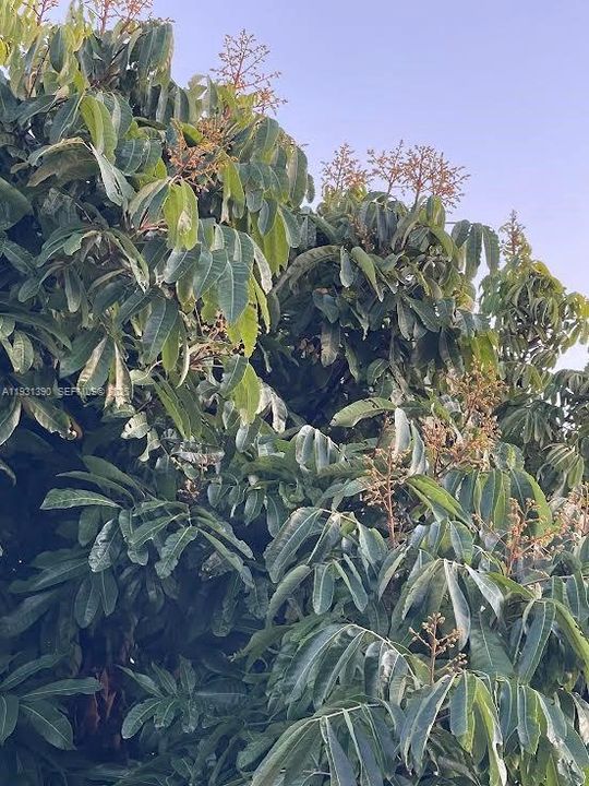 待售: $796,000 (2 贝兹, 1 浴室, 0 平方英尺)