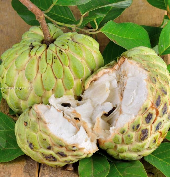 На продажу: $797,850 (2 спален, 1 ванн, 0 Квадратных фут)