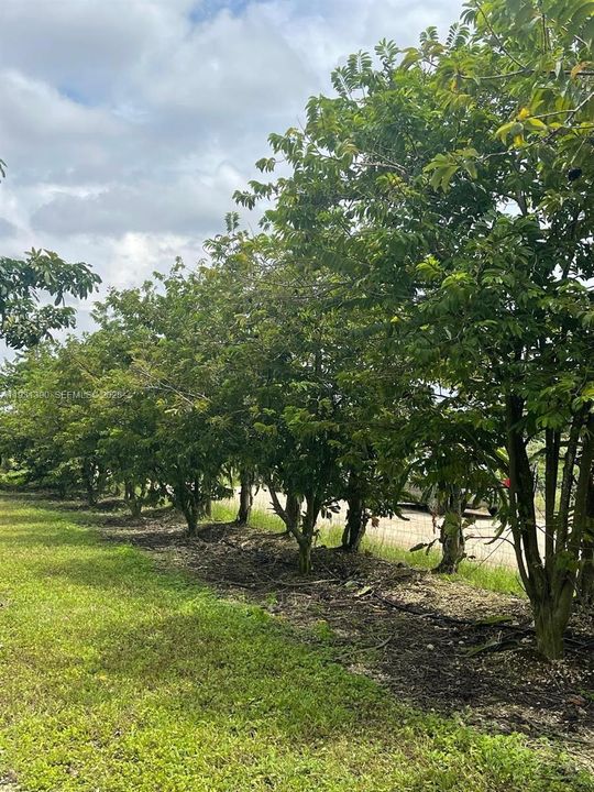 На продажу: $797,850 (2 спален, 1 ванн, 0 Квадратных фут)