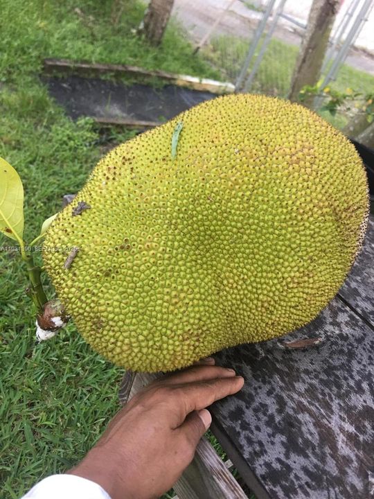 На продажу: $797,850 (2 спален, 1 ванн, 0 Квадратных фут)