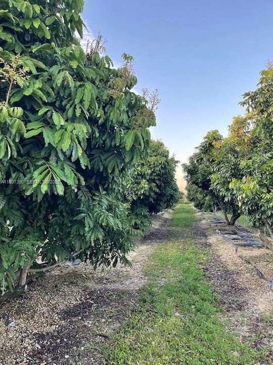 待售: $796,000 (2 贝兹, 1 浴室, 0 平方英尺)