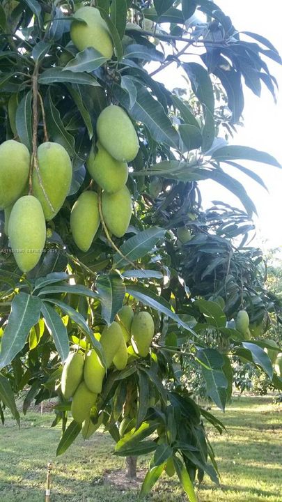 На продажу: $797,850 (2 спален, 1 ванн, 0 Квадратных фут)