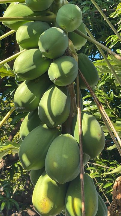 На продажу: $797,850 (2 спален, 1 ванн, 0 Квадратных фут)