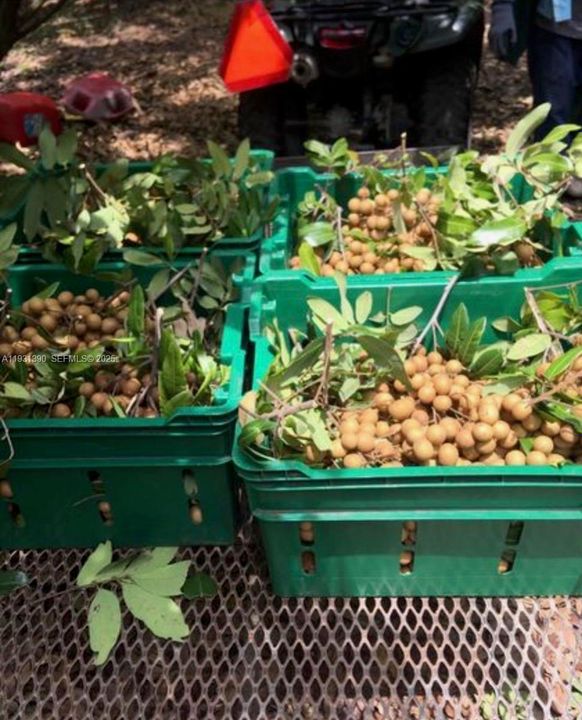 На продажу: $797,850 (2 спален, 1 ванн, 0 Квадратных фут)